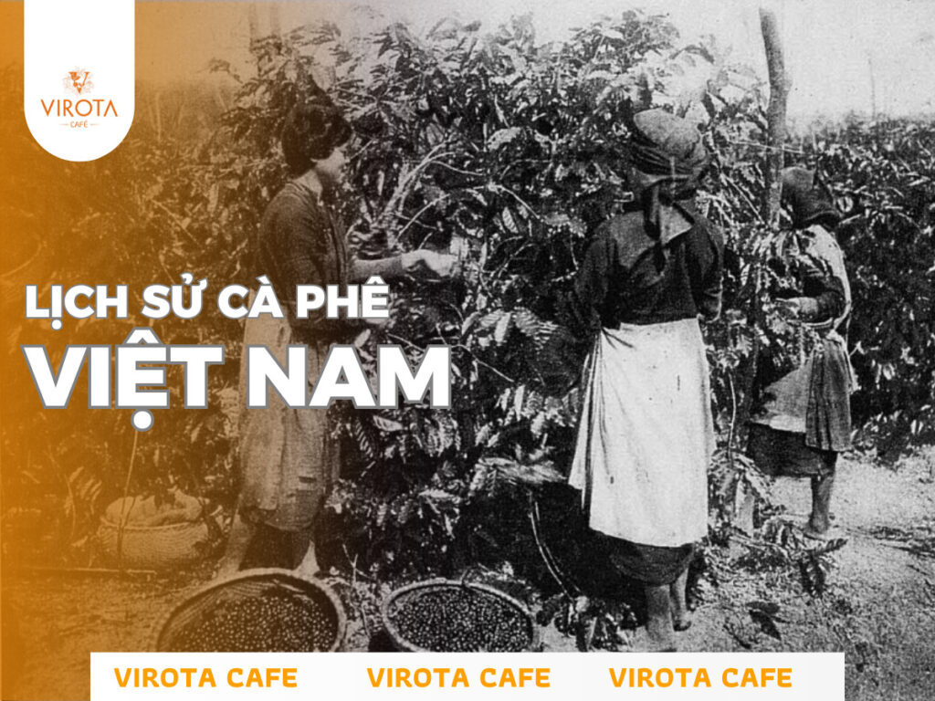 Lịch sử cà phê Việt Nam | Virota Cafe