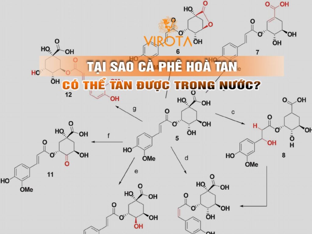 Virota Cafe | Tại sao cà phê hoà tan tan được trong nước | How does instant coffee dissolve?