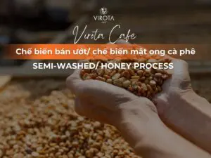 Virota Cafe| Chế biến bán ướt cà phê | Chế biến mật ong| Honey process | Semi-washed process