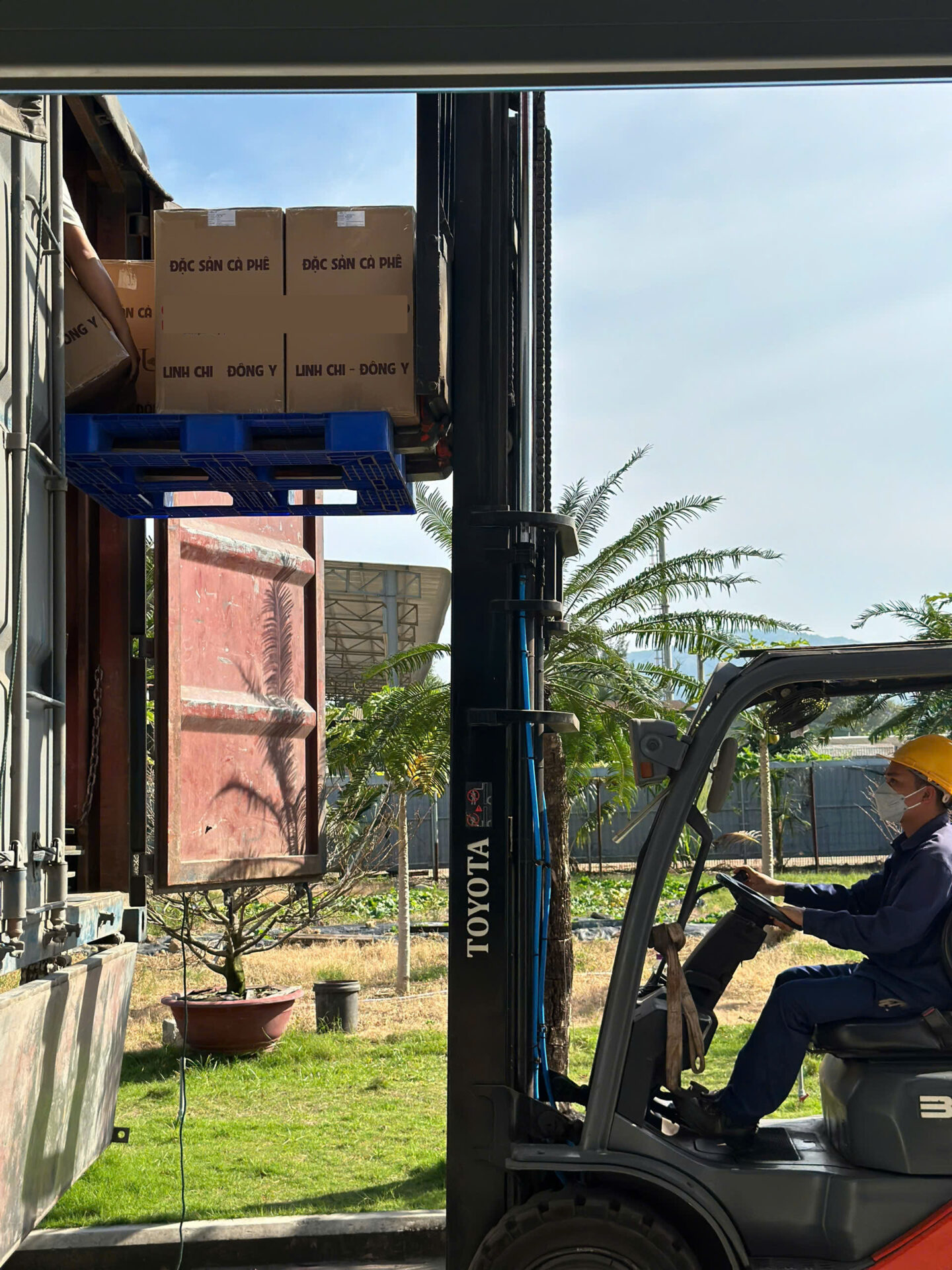 Virota Cafe | Tiêu chuẩn cà phê xuất khẩu | Xuất khẩu cà phê | vietnam coffee export