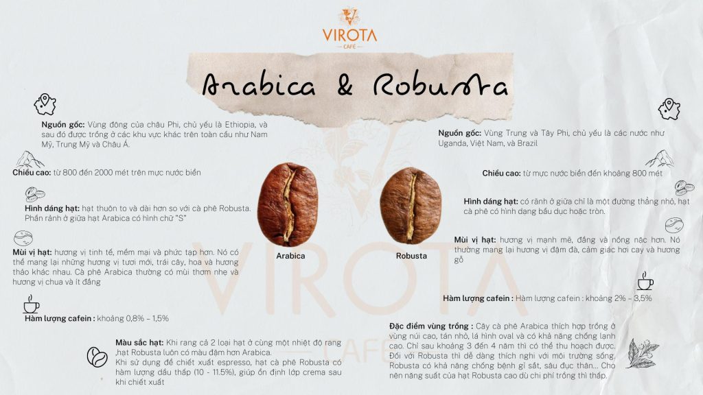 Robusta và Arabica