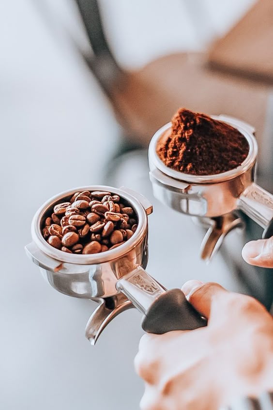 Robusta & Arabica