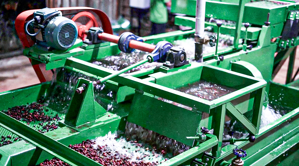 Virota Cafe | Hệ thống chế biến ướt cà phê | Wet processing  | Washed processing