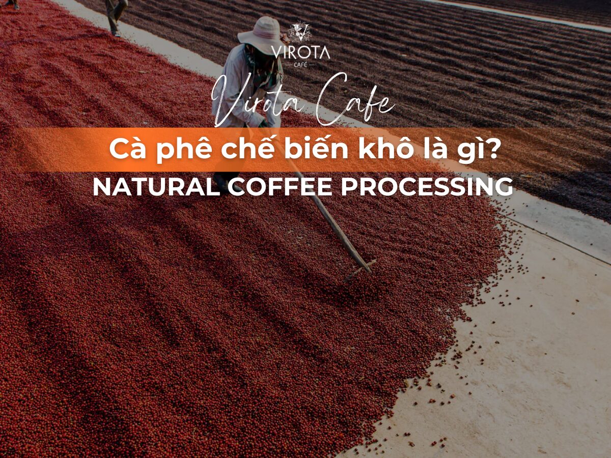 Virota Cafe