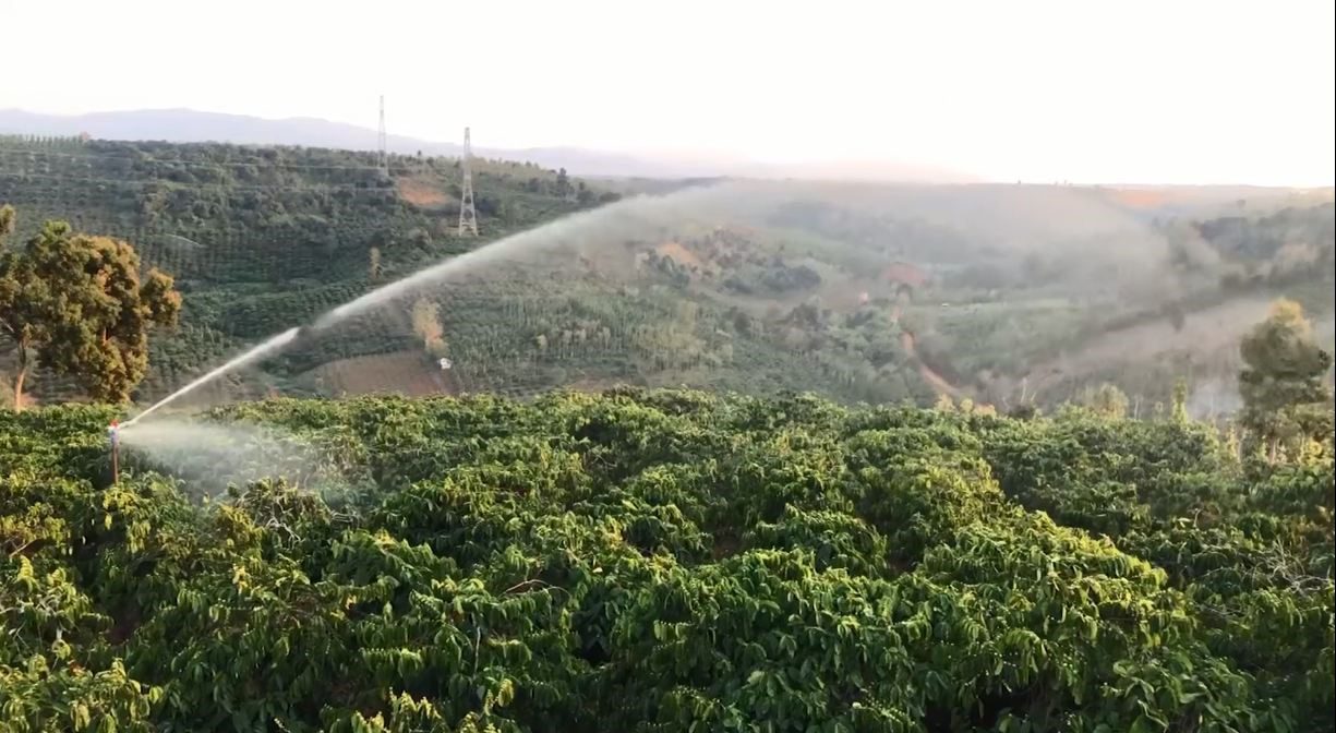 Virota Cafe - Vùng nguyên liệu cà phê